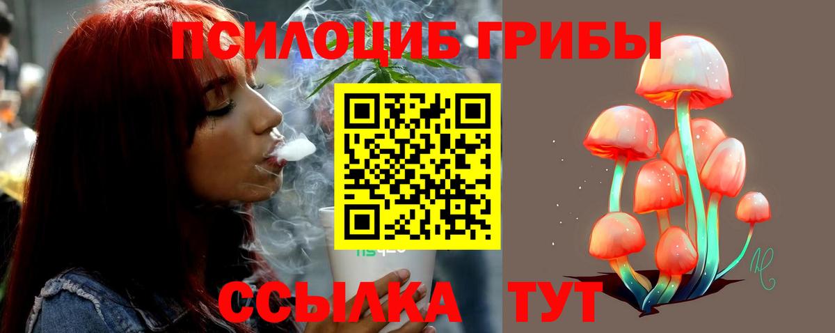 Галлюциногенные грибы MAGIC MUSHROOMS  Галлюциногенные грибы мухоморы  Каспийск  Вход с VPN 